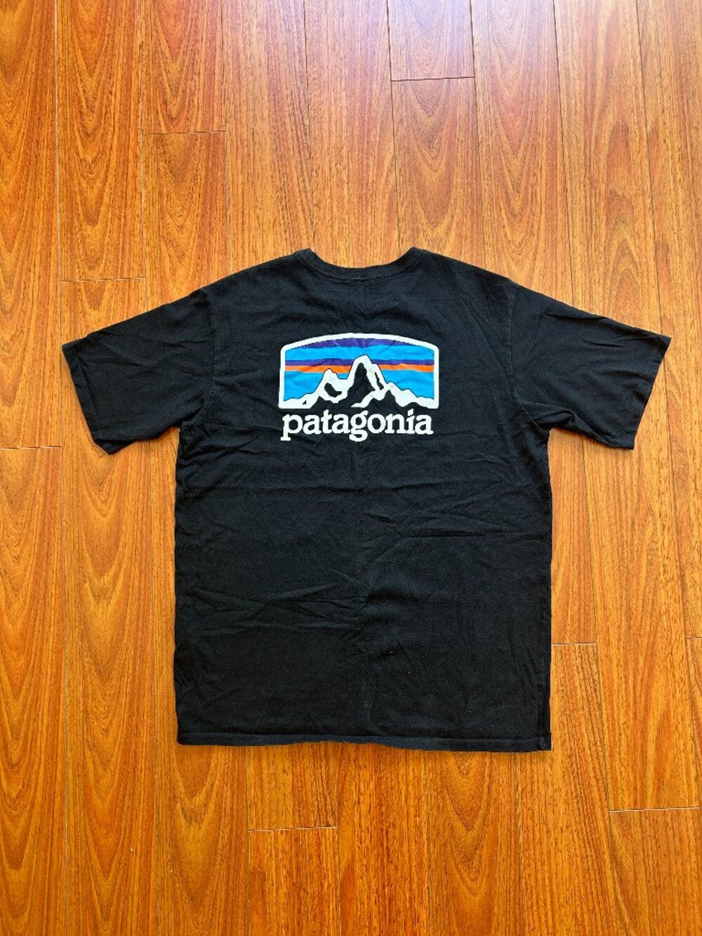 Patagonia Responsibili-Tee (Men's size S)